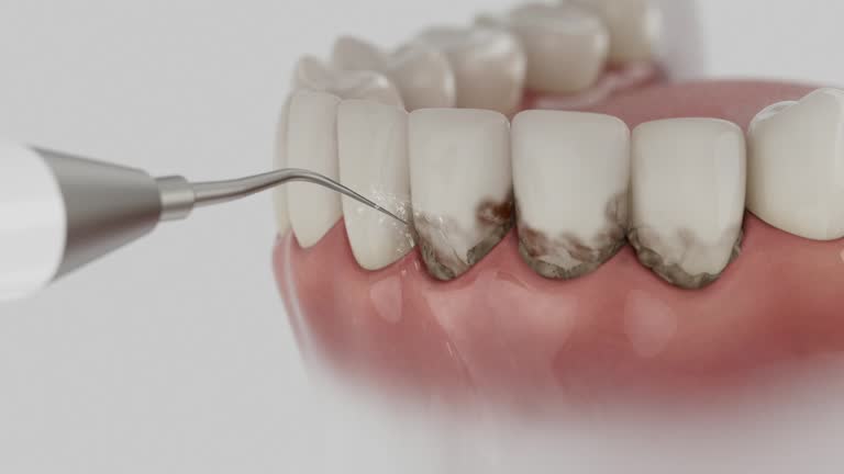 Reliable Dental contractor in Hackleburg, AL by Dentist Open Now